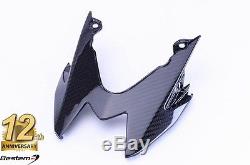 2015-2018 BMW S1000RR 100% Carbon Fiber Tail Light Cover Cowl Twill 2017 2016