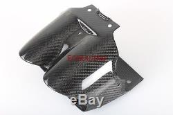 TWILL Carbon Fiber Tail Light Housing for Aprilia Mille and Mille R 2001 2002