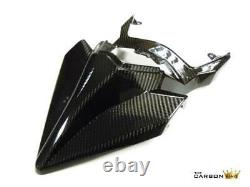 Kawasaki H2 & H2r Carbon Fibre Mono Seat Tail Unit En Twill Weave Fibre
