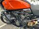 Protège-côté En Fibre De Carbone Pour Harley Davidson Pan America 1250 2021+
